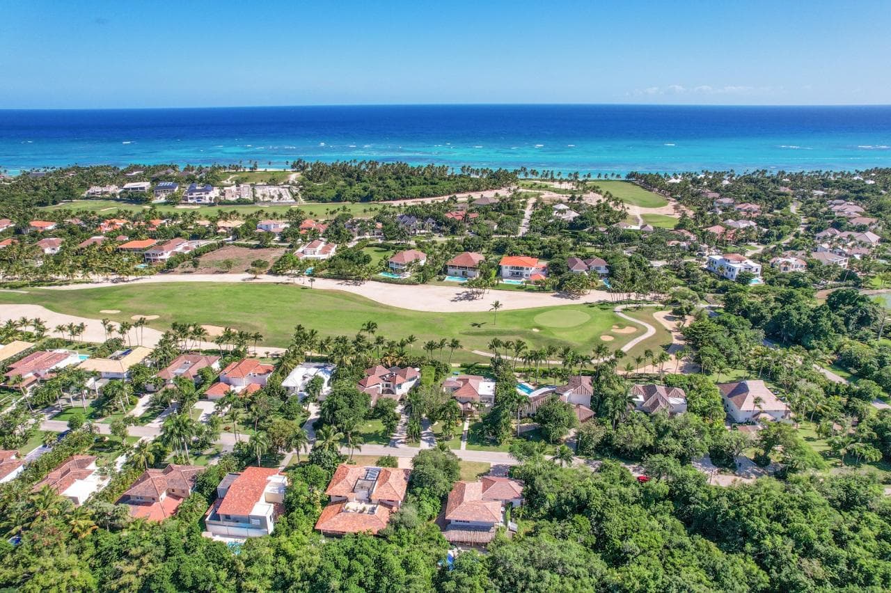 Tortuga #B55 - Image 3