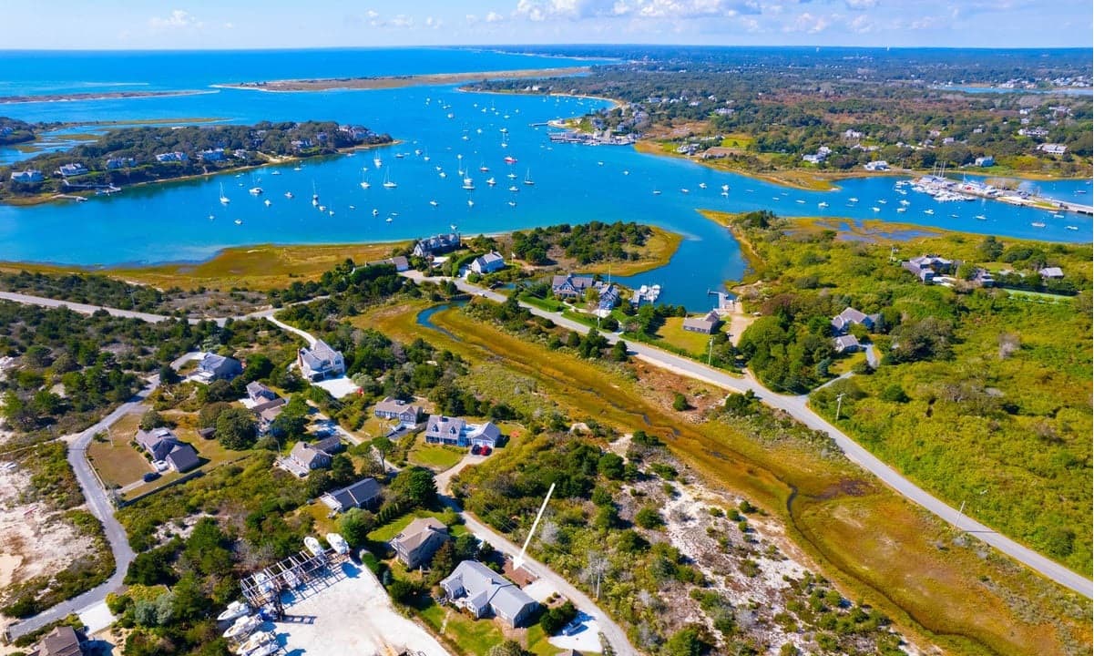 Whale Song - Image 26