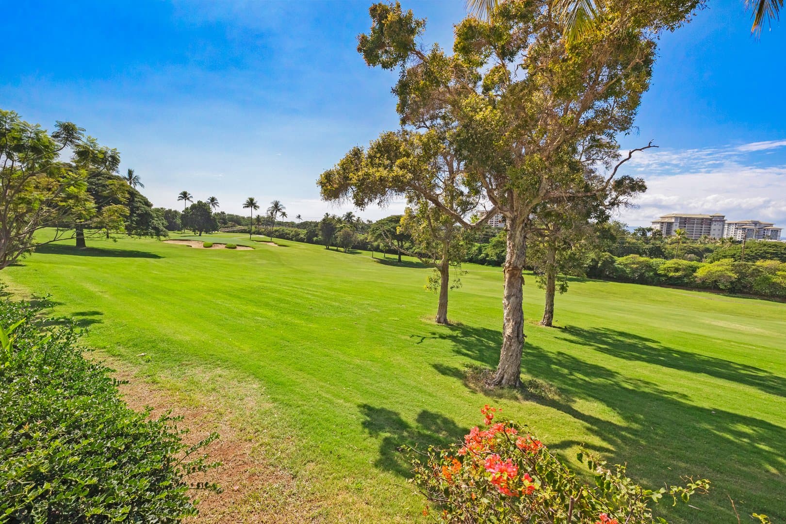 Hale Holokai Villa - Image 51