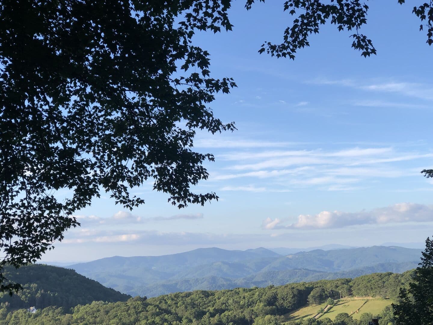 Beech Blessings - Image 43