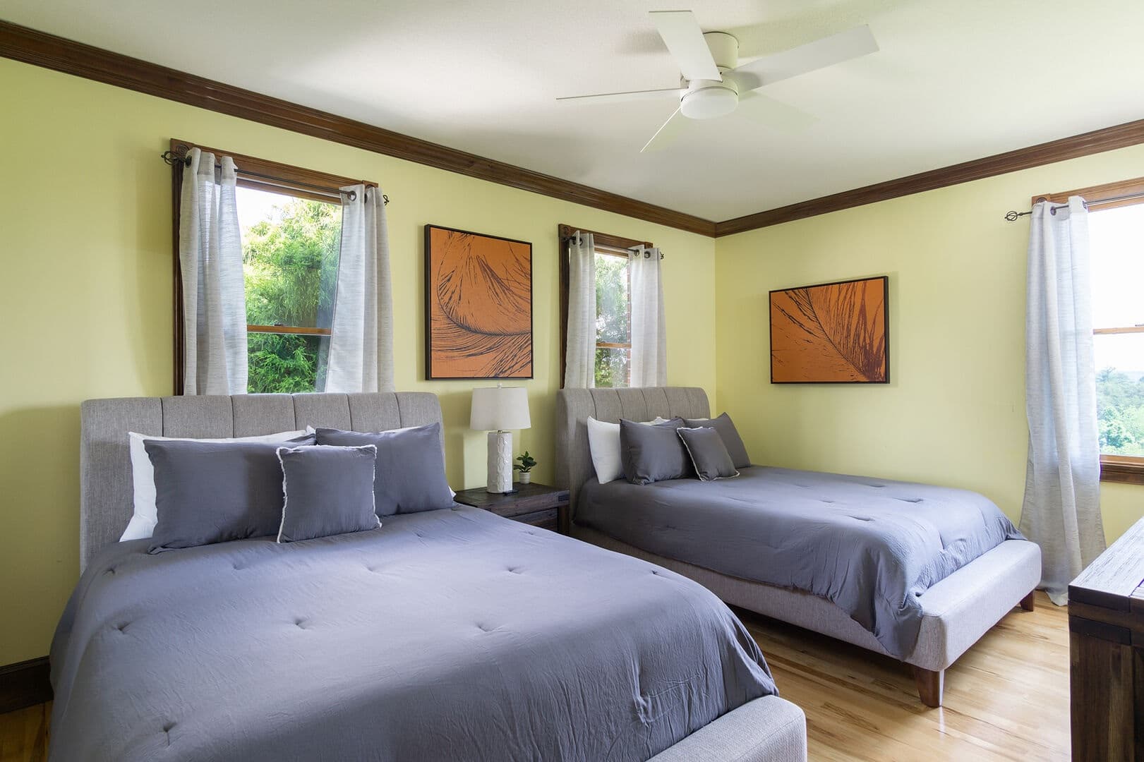 Tillery Branch - Image 21