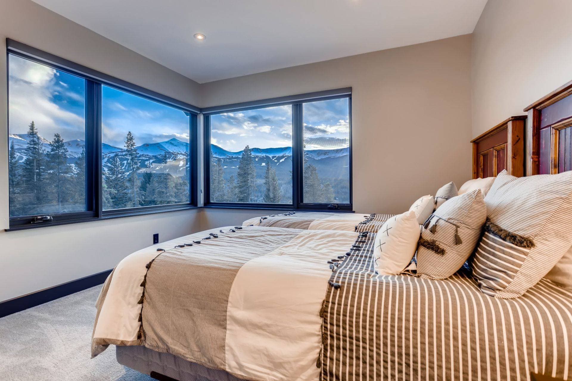 Bearadise Forest - Image 20