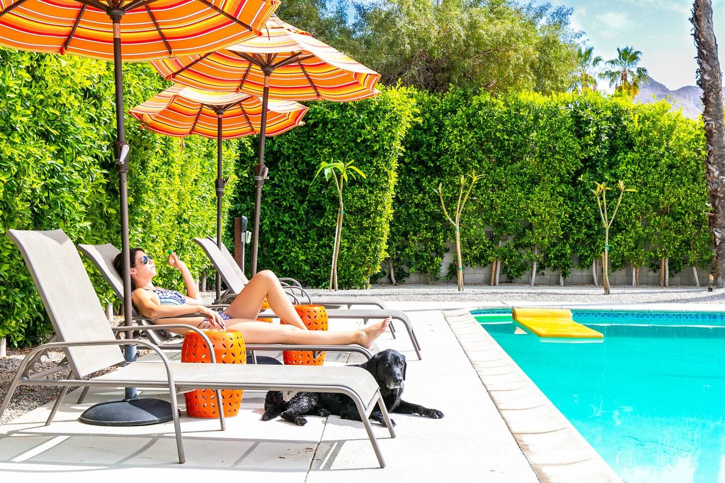 The Popsicle House - Image 51