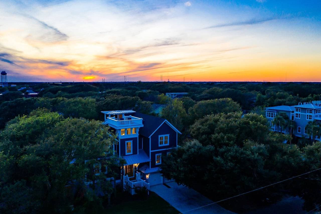 Blue Heron - Image 52