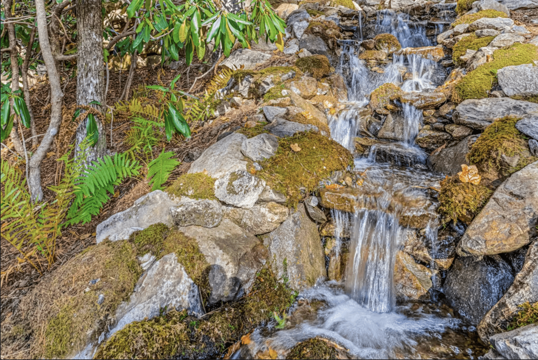 Sapphire Elegance - Image 49