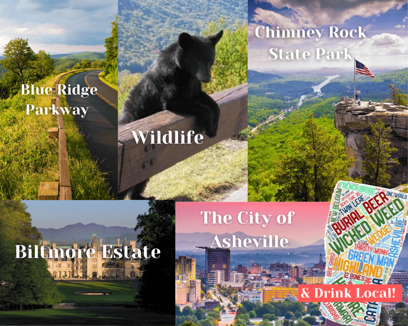 Asheville Getaway - Image 4