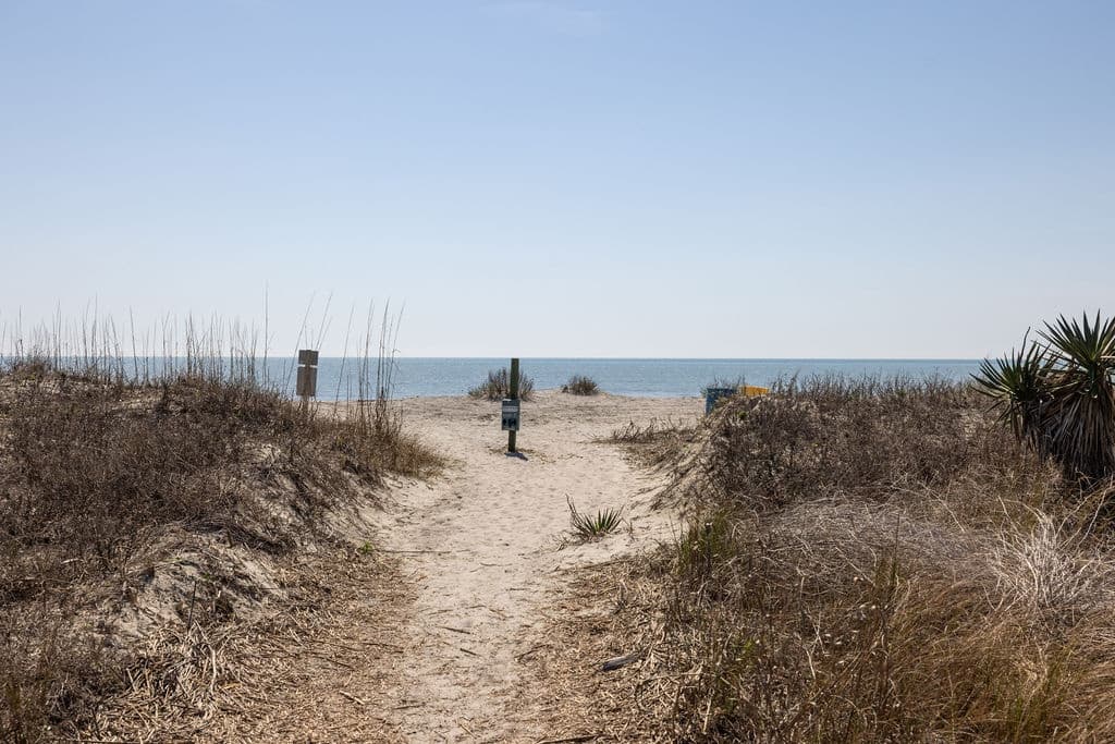 Blue Haven #06 - Image 57