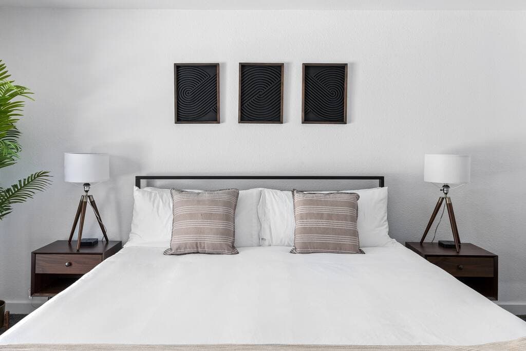 Lux Palmas - Image 24