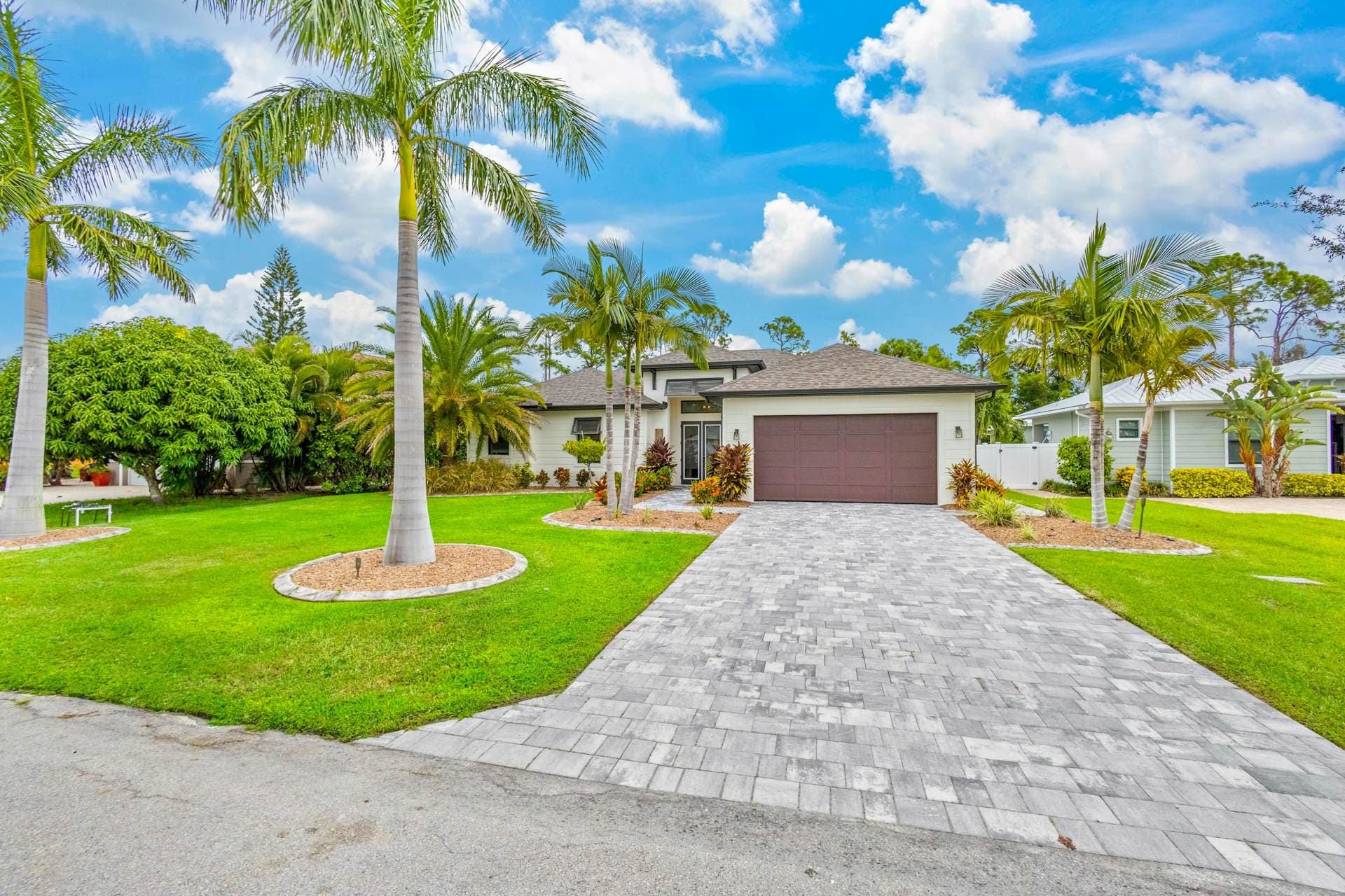 Paradise Daydream - Image 3