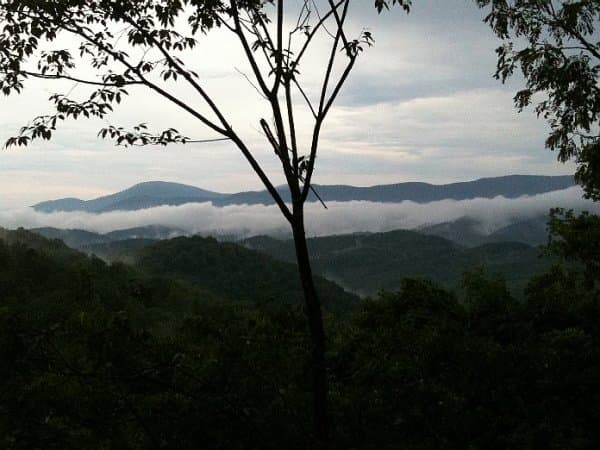 Deer Moments Cabin - Image 28