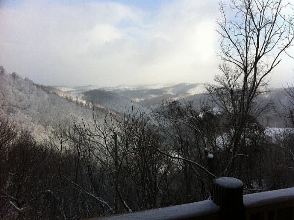 Deer Moments Cabin - Image 30