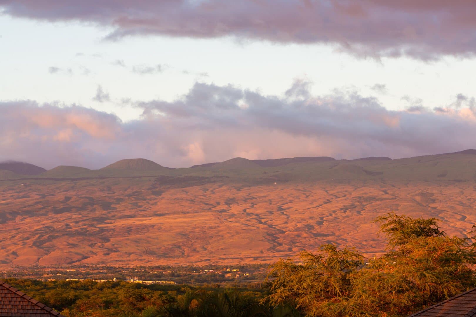 Big Island Oasis - Image 66