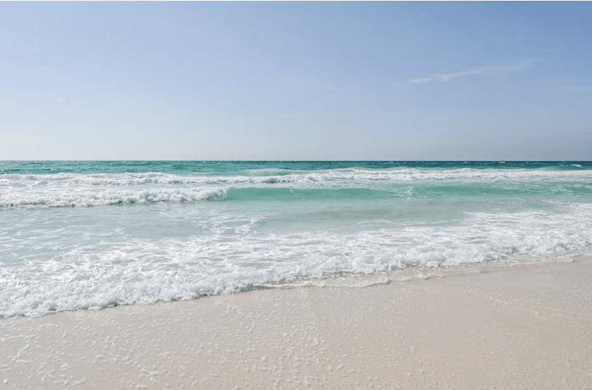 Hook’s Villa - Image 49