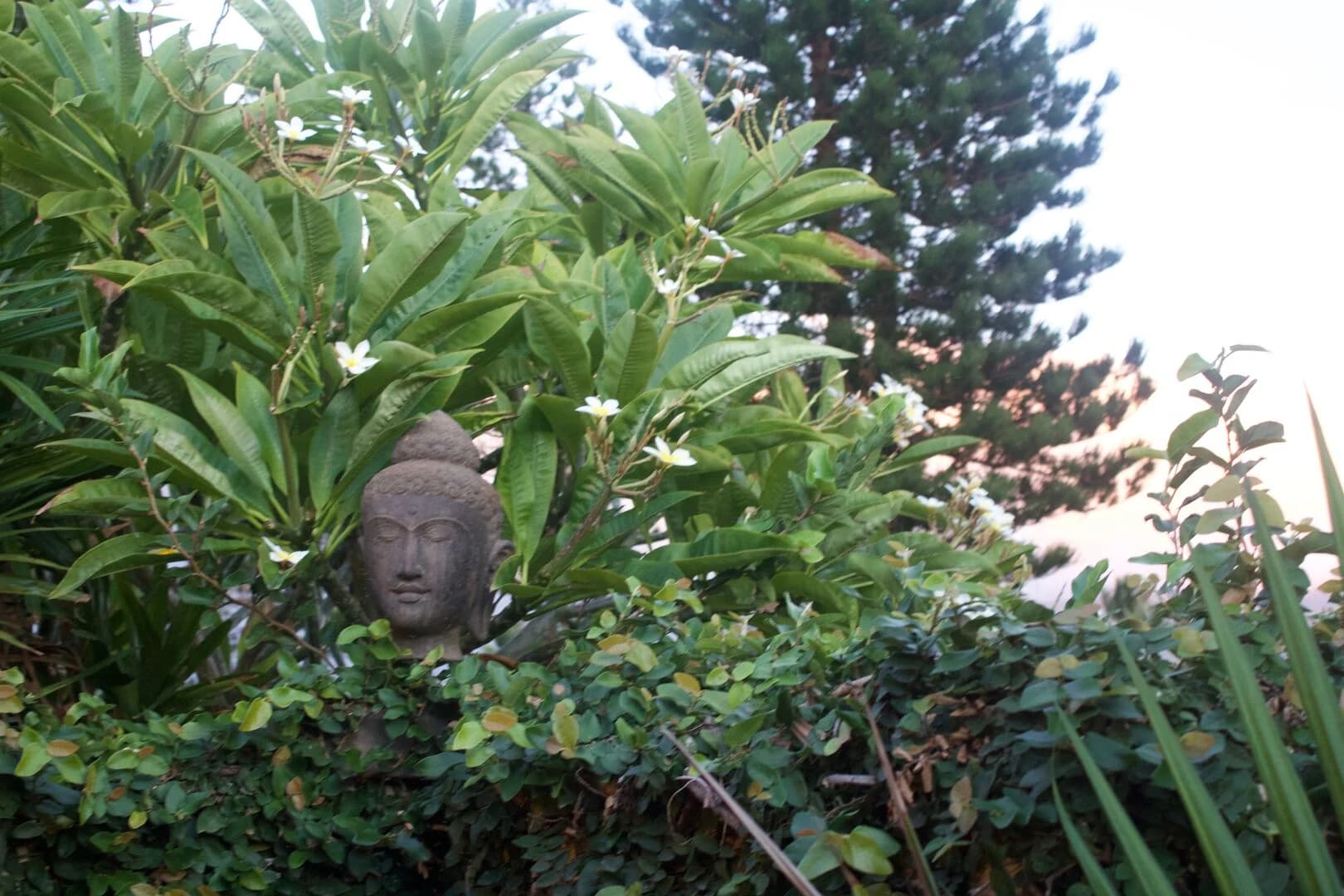 Summit Residence - Image 55