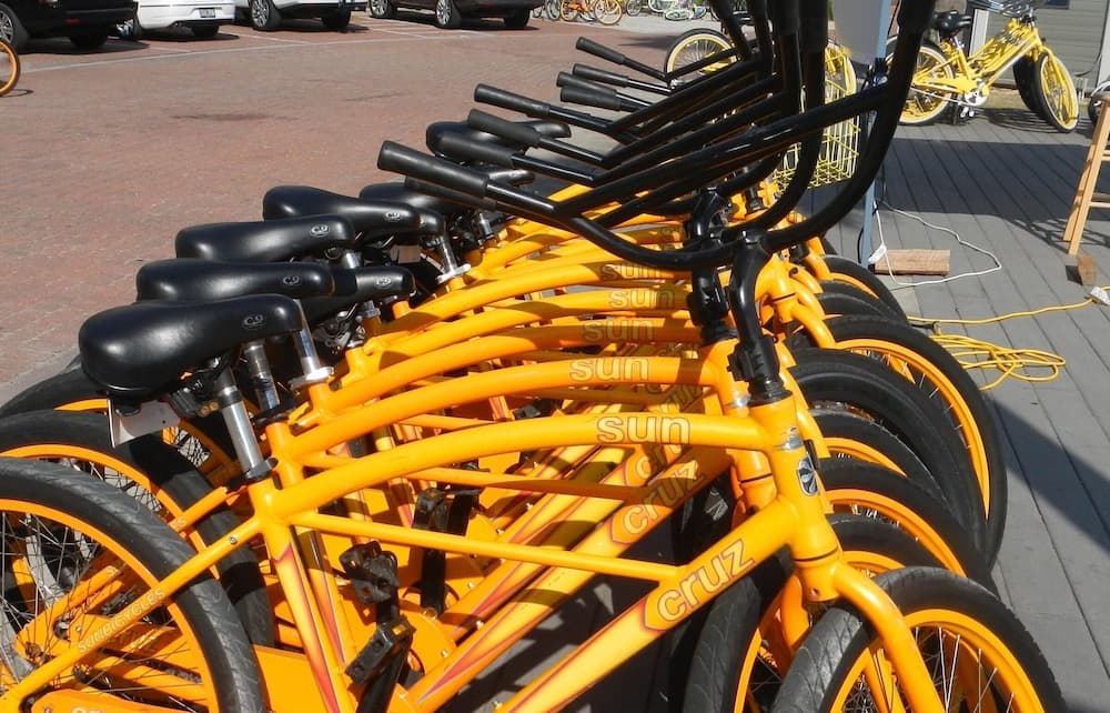 Dock Holiday - Image 22