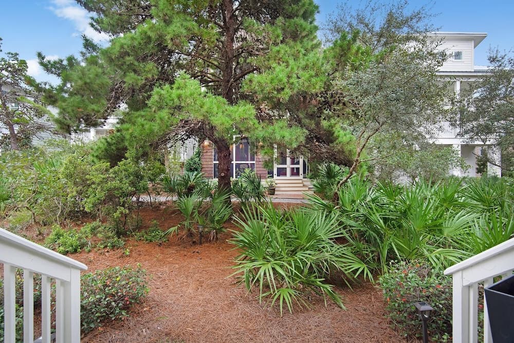 Dock Holiday - Image 17