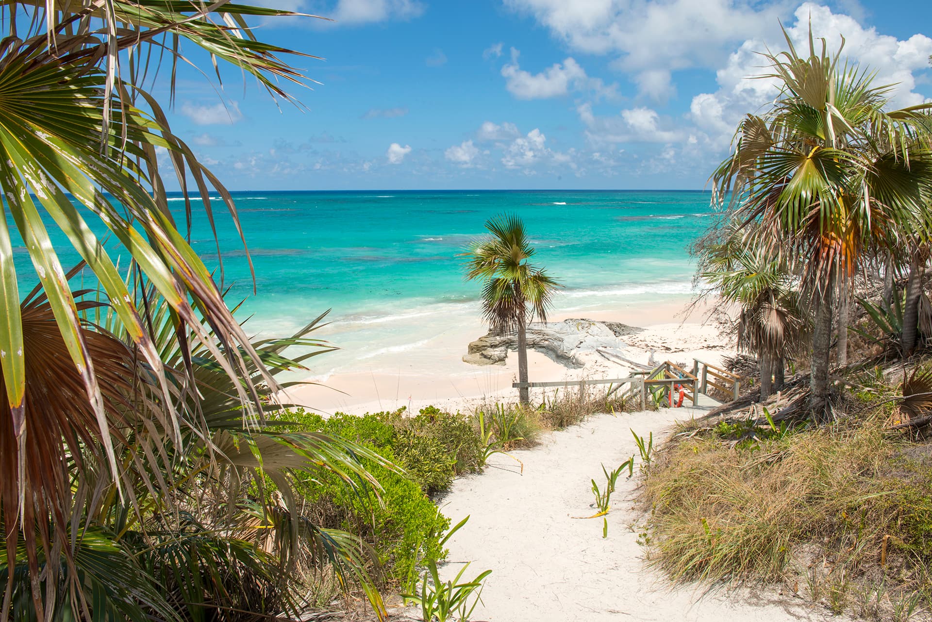 Dream House - Image 32