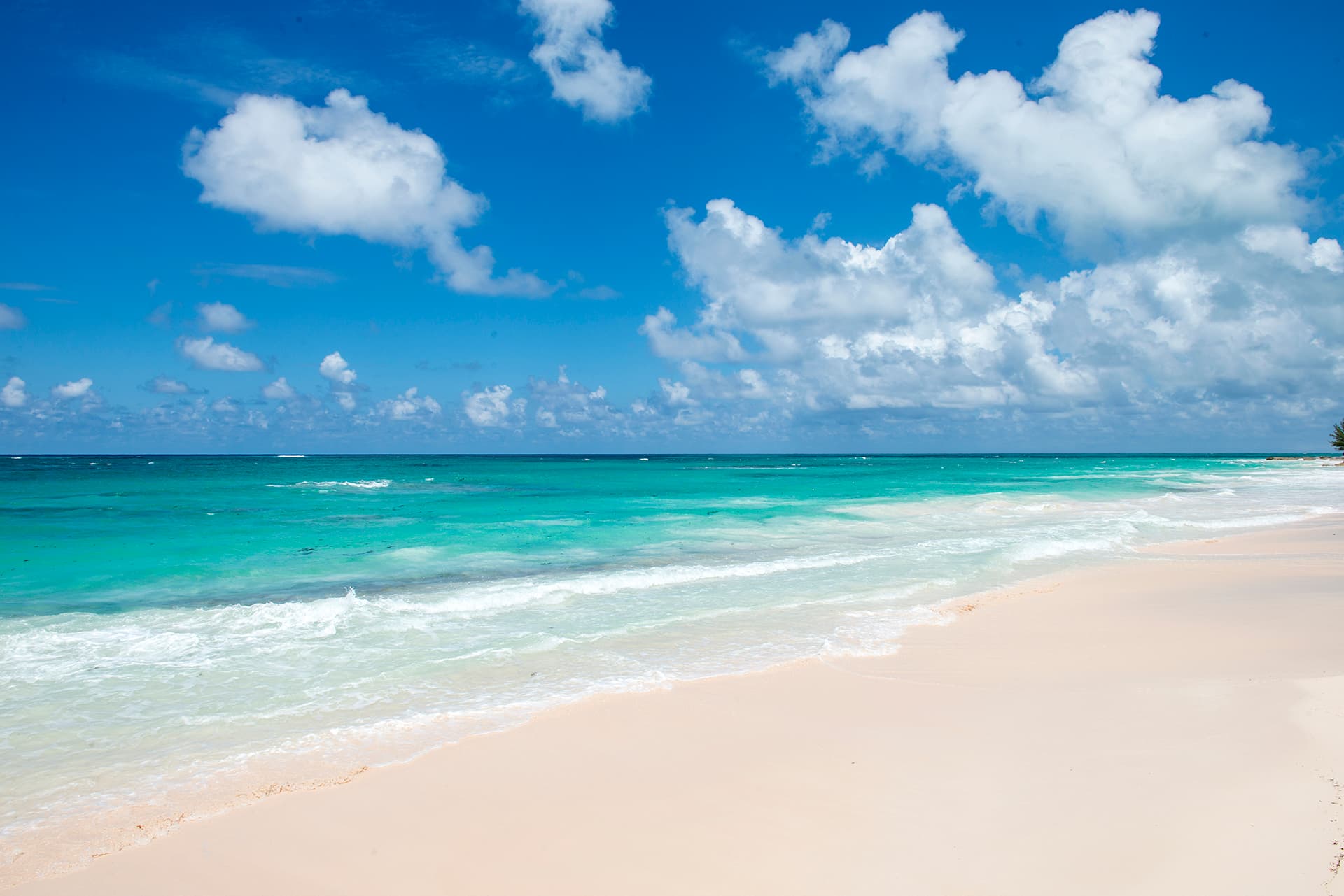 Dream House - Image 33