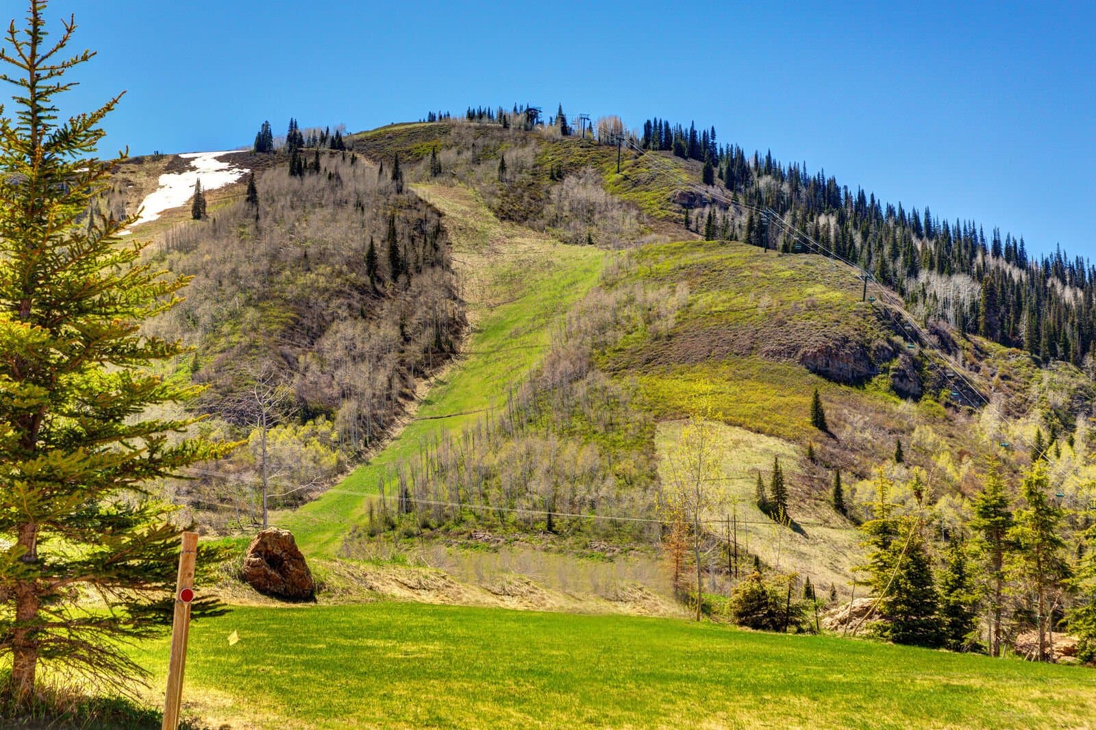 Star House - Image 44