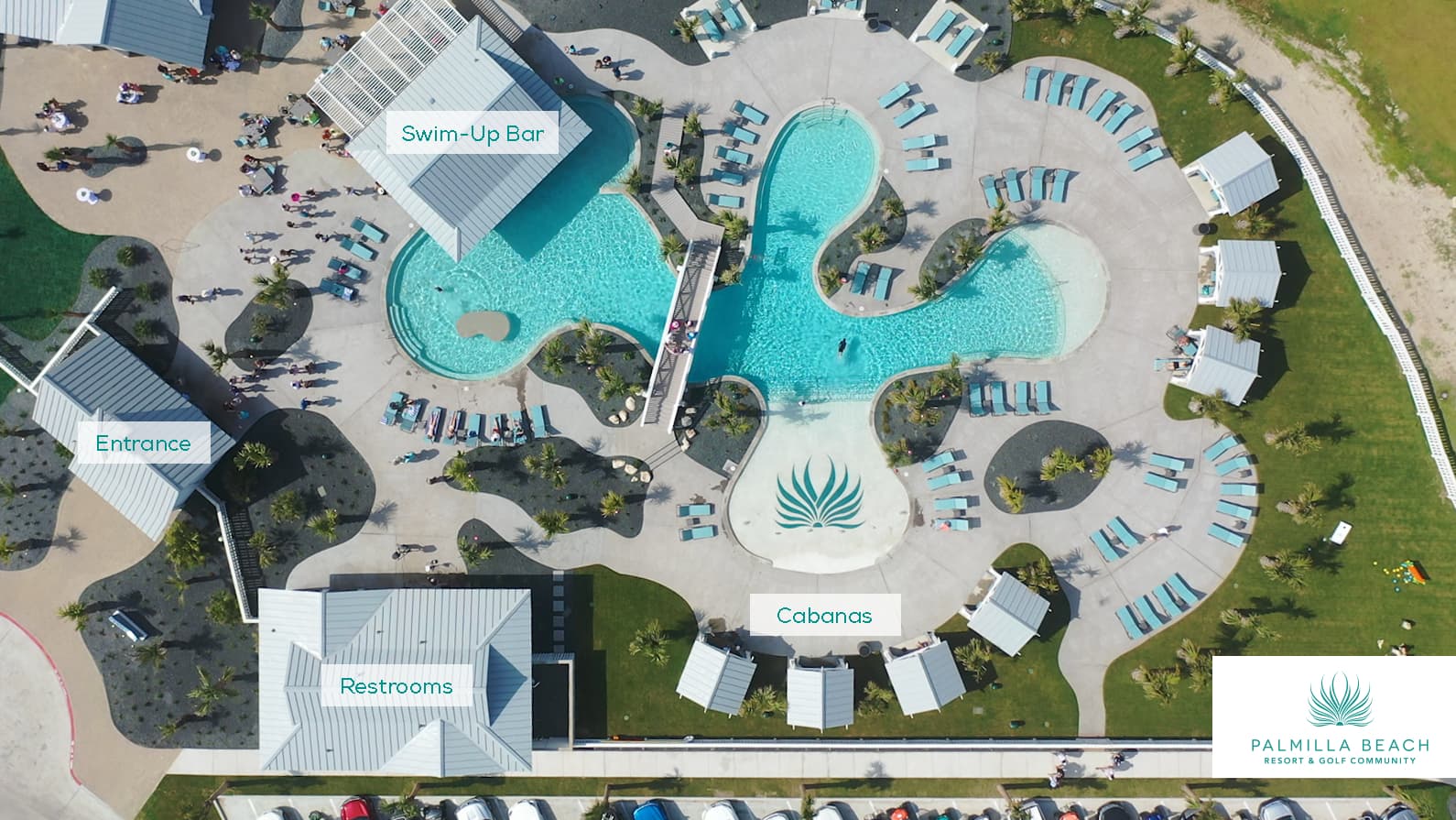 Sun-drenched on Sundew - Image 25