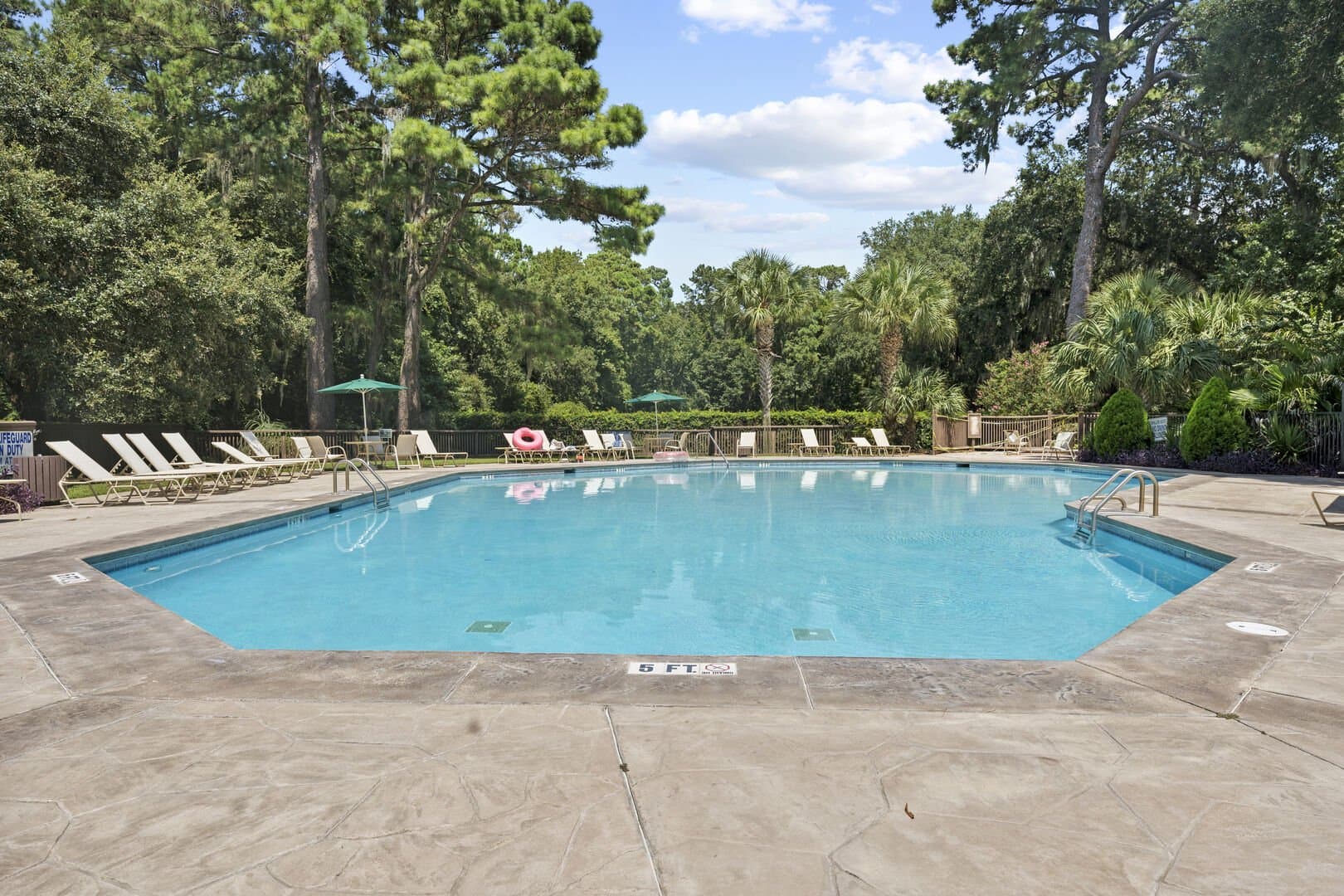 Sweet Carolina - Image 34