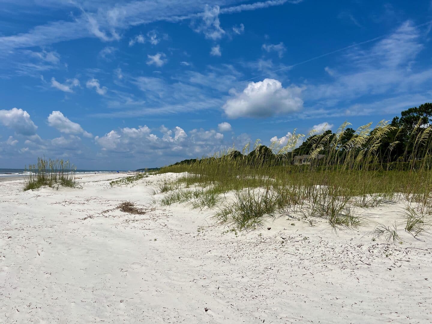 Tropical Retreat - Image 55