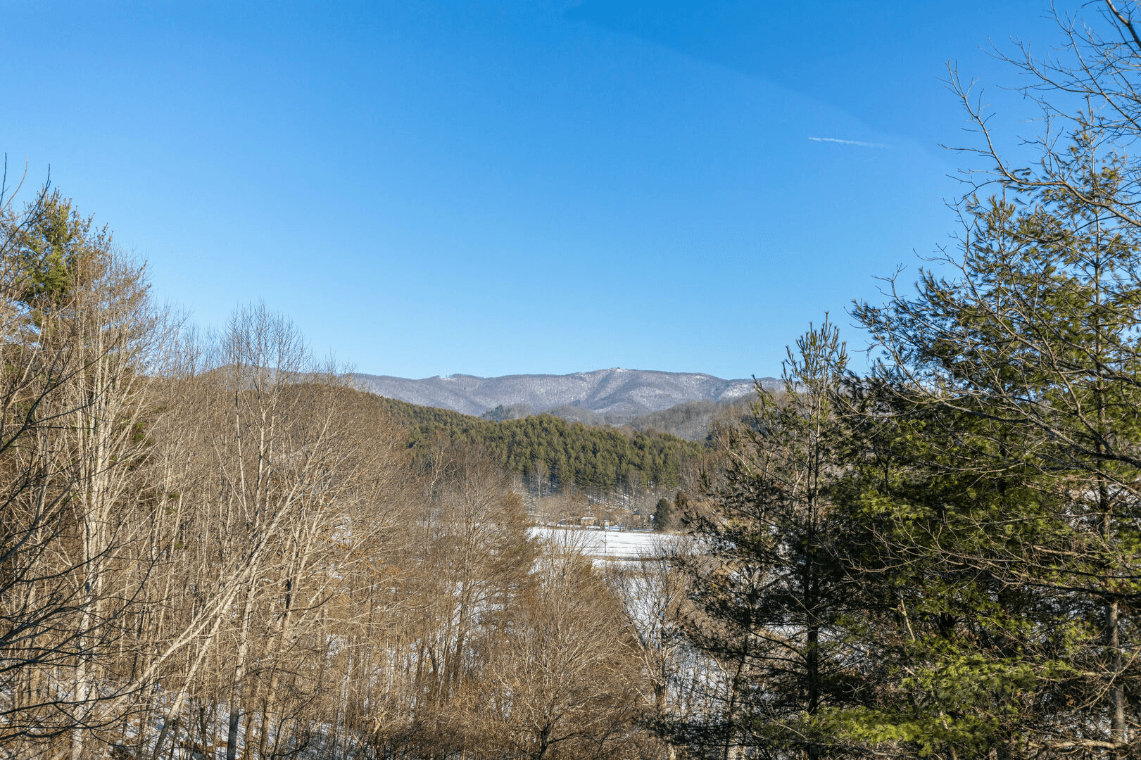 Lazy Bear Inn - Image 21