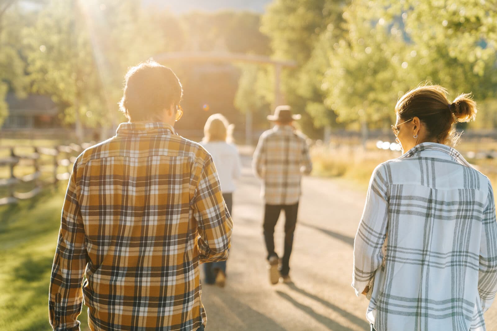 Open Meadows - Image 72