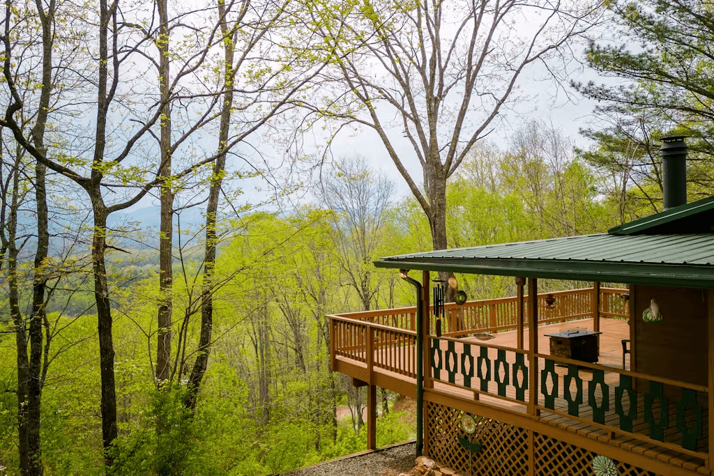 Black Bear Cabin - Image 23