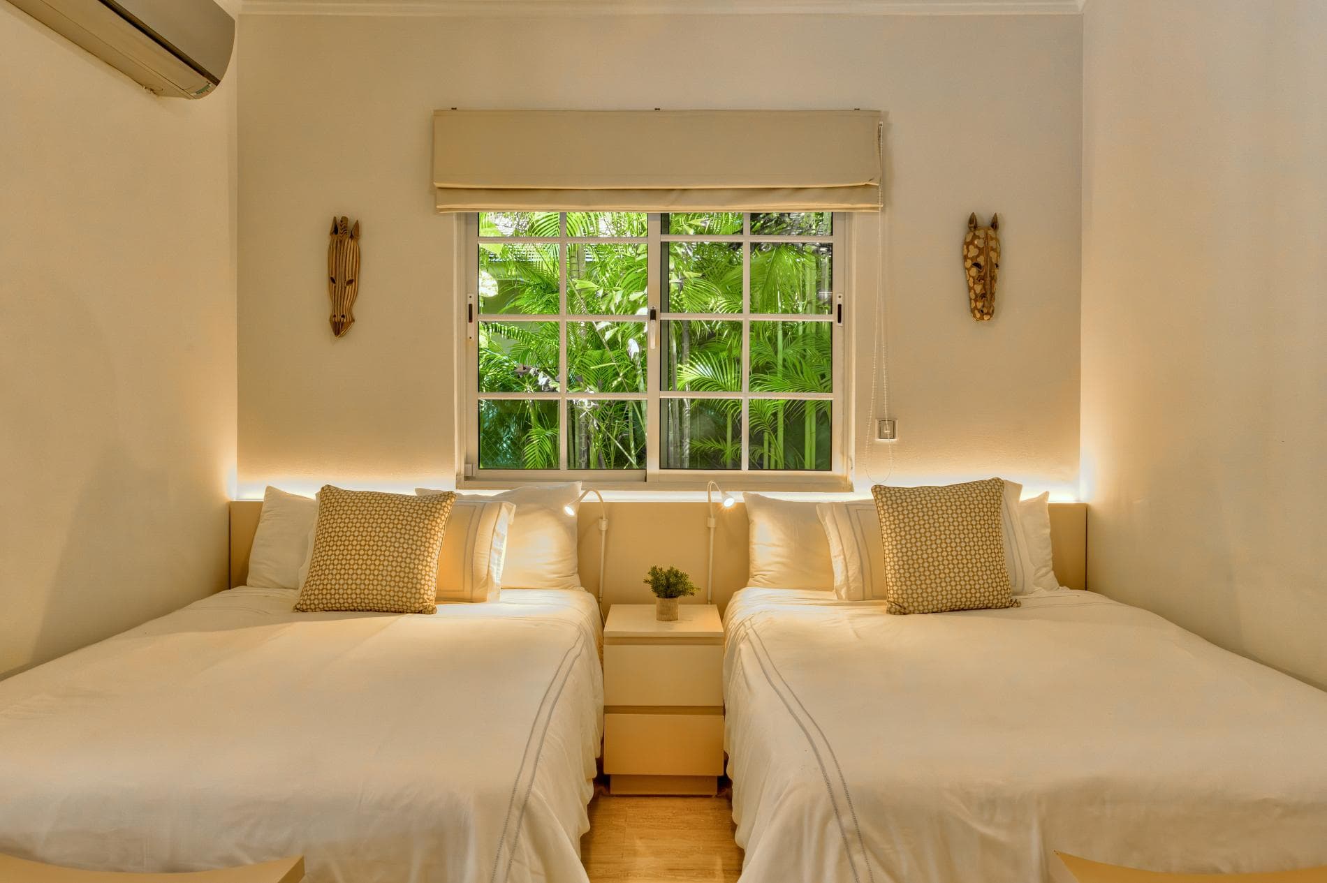 Tortuga #B55 - Image 16