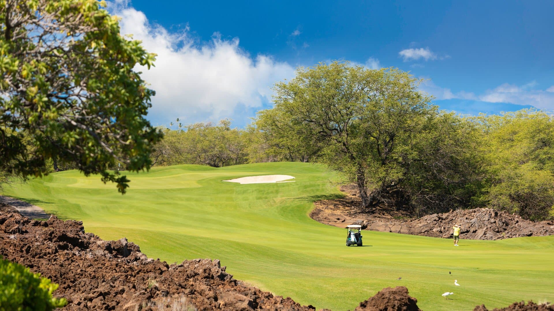 Orchid Villa - Image 41