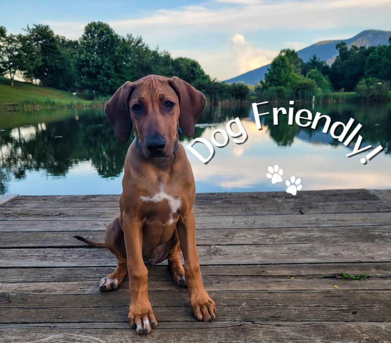 S'more to Love - Image 37