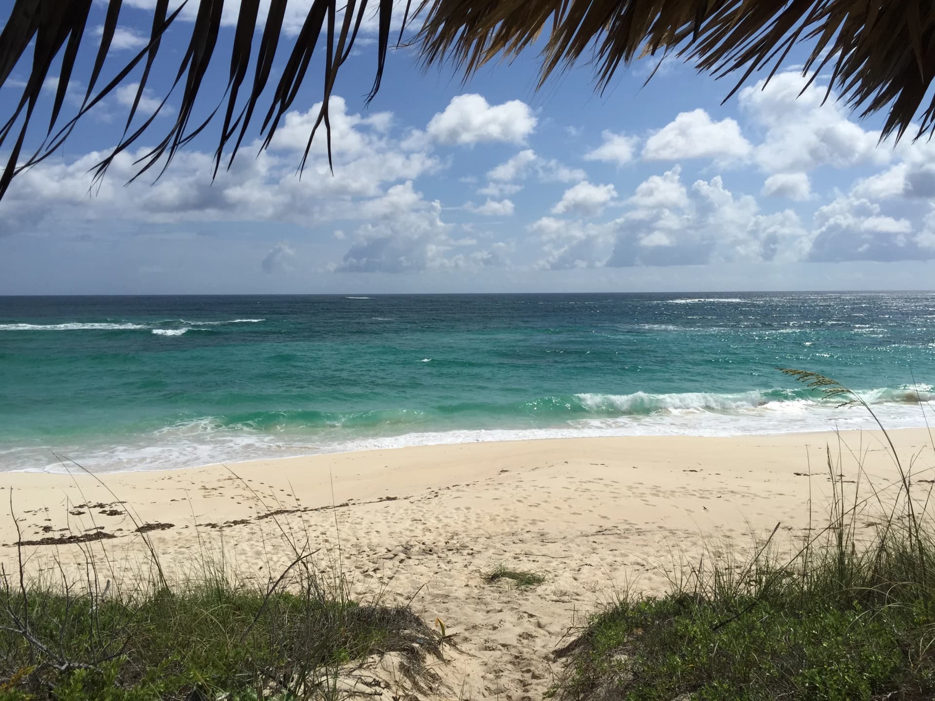 Buttonwood Reserve Estate - Image 113
