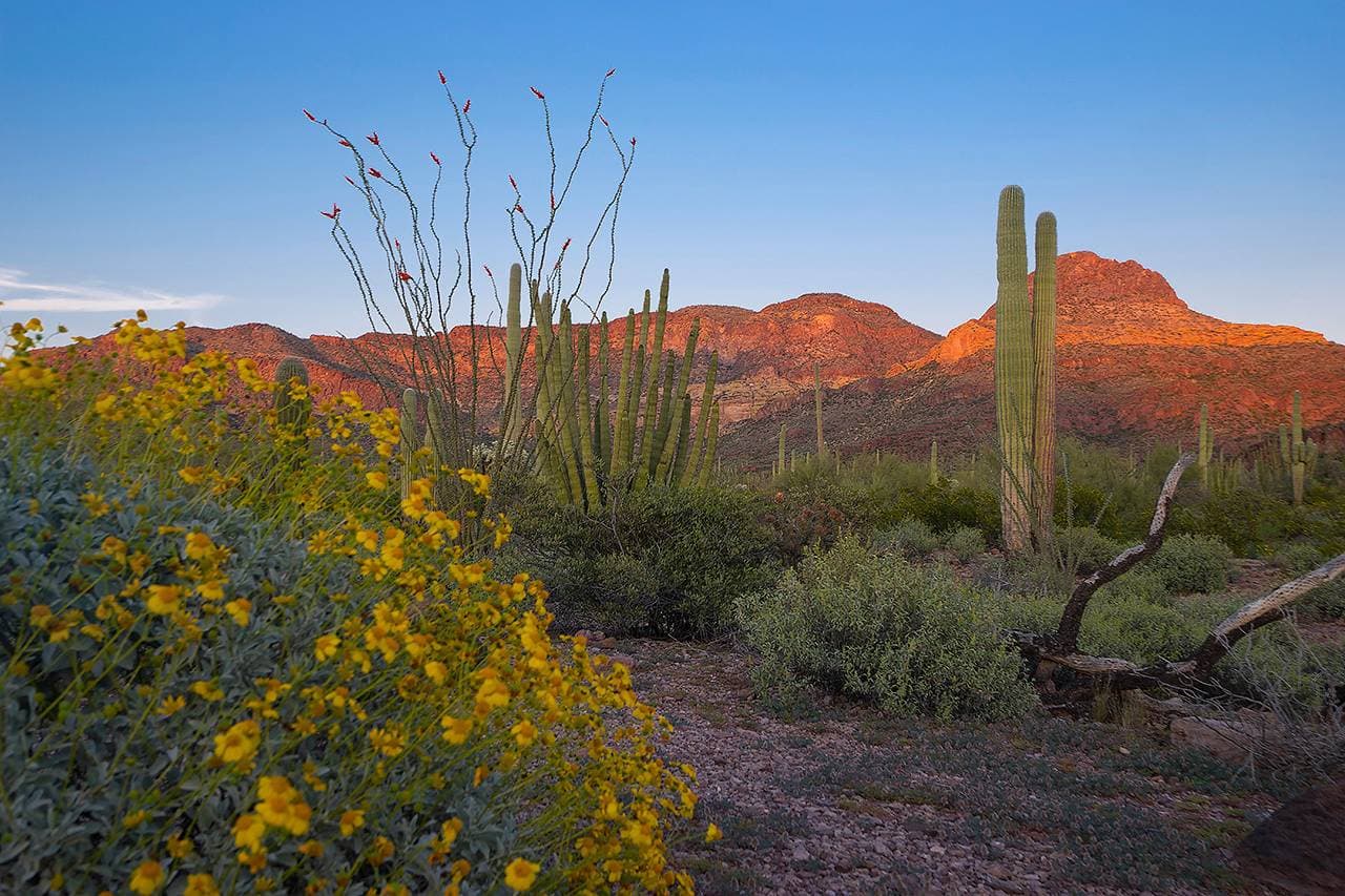 Villa de Paradis - Image 41