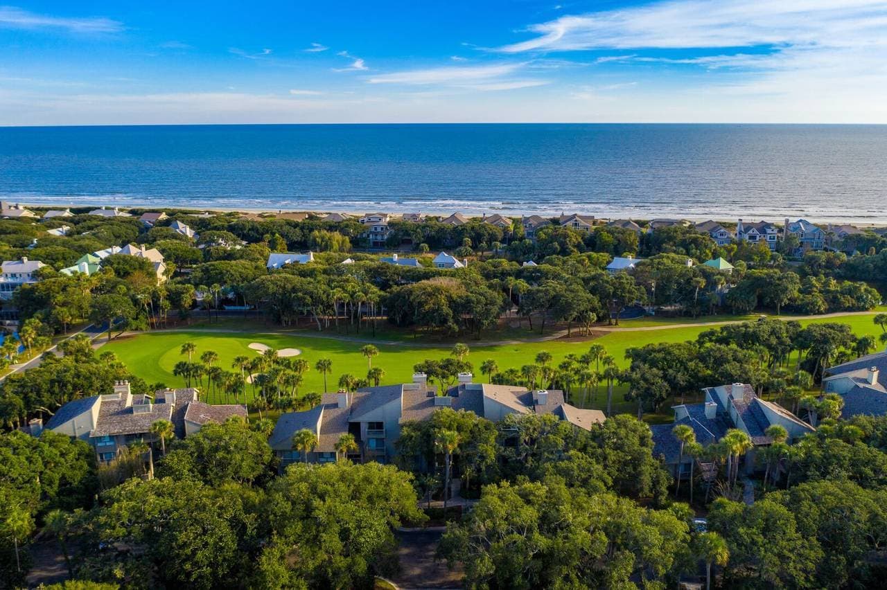 Turtle Point #4984 - Image 37