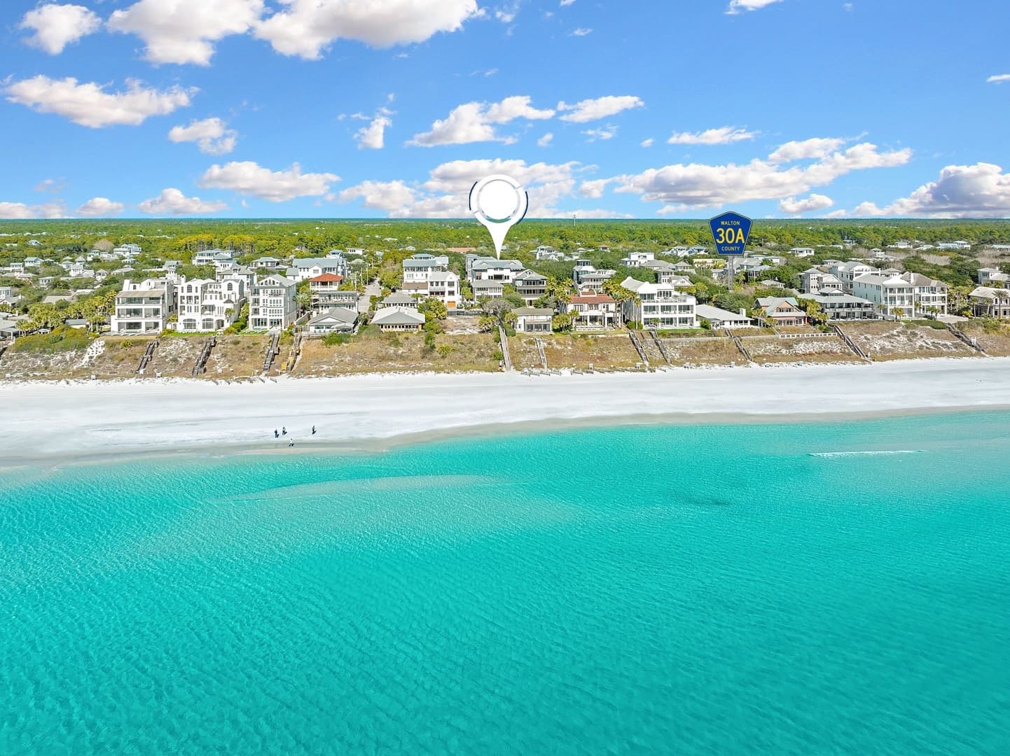 Seaside Thyme - Image 3