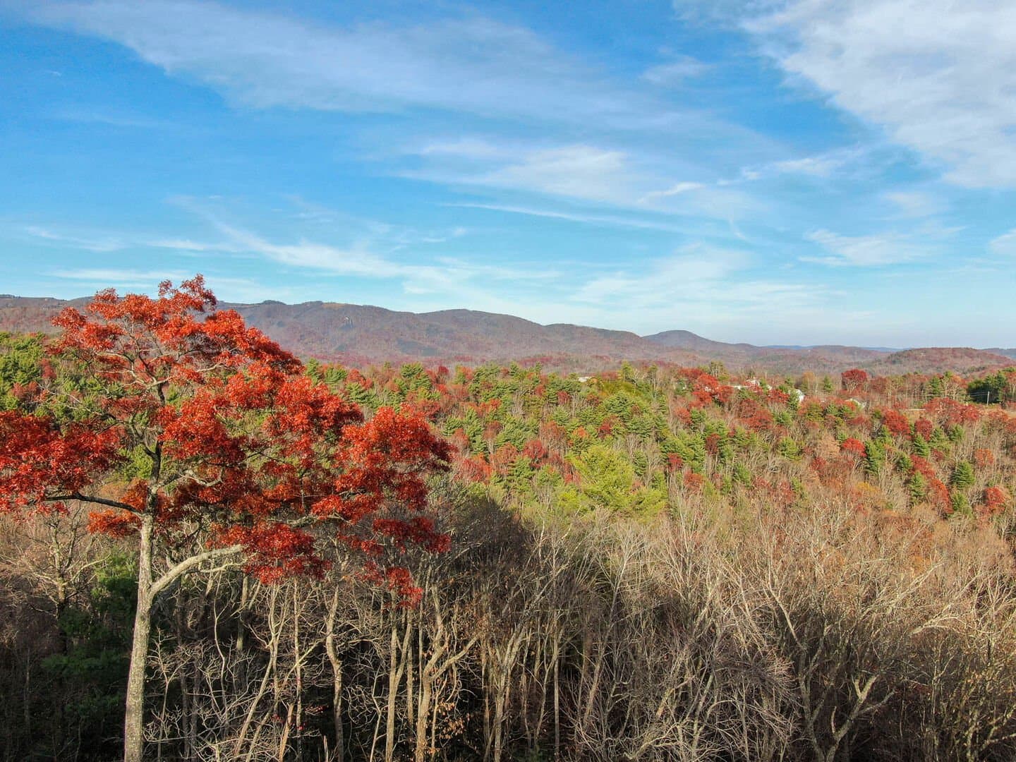 Bailey's Creek Lodge - Image 44