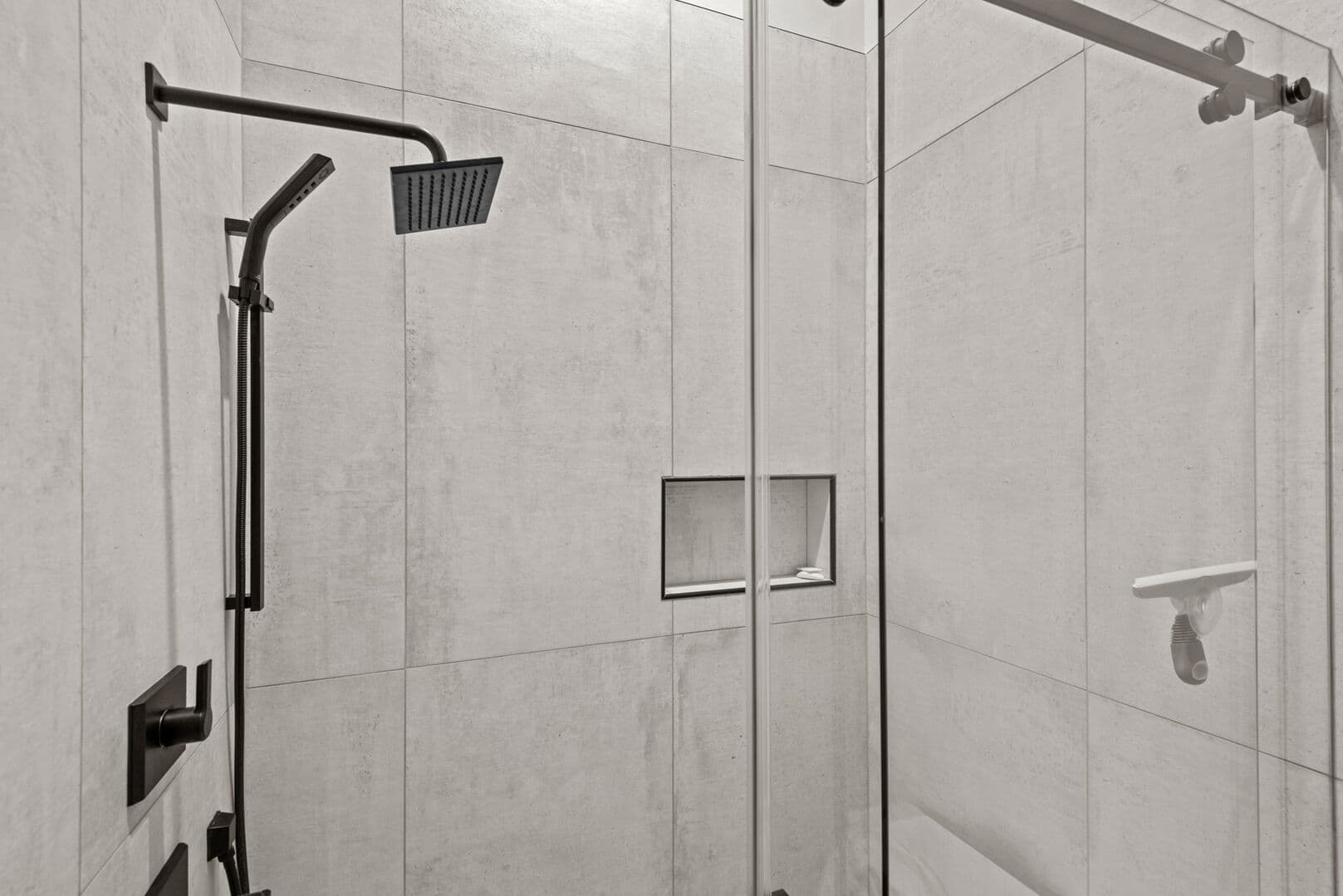 Dire Wolf at Eagles Nest - Image 26