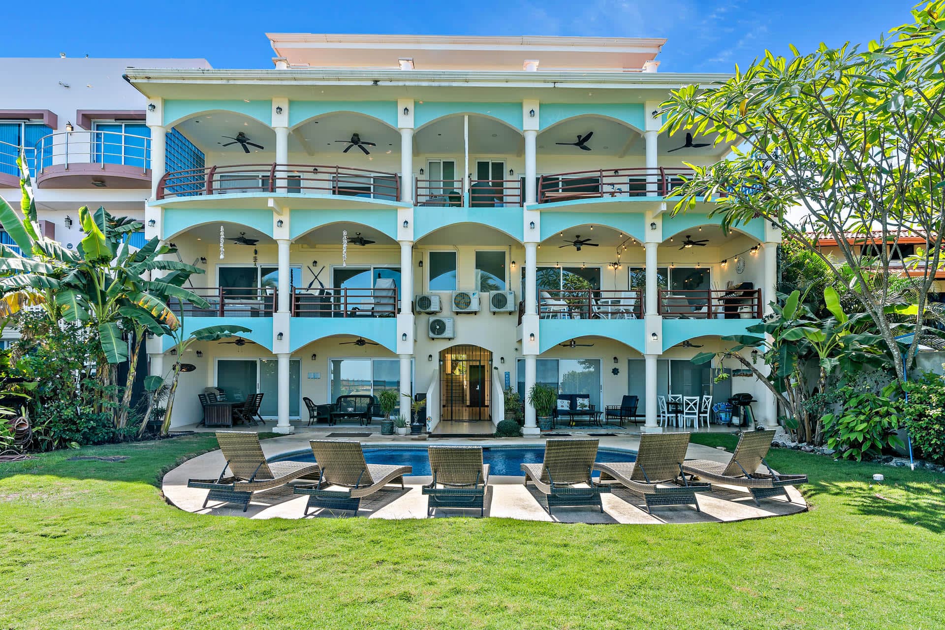 Twin Dolphins - Image 17