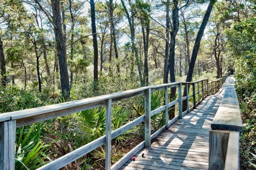 Lunar Tides - Image 5