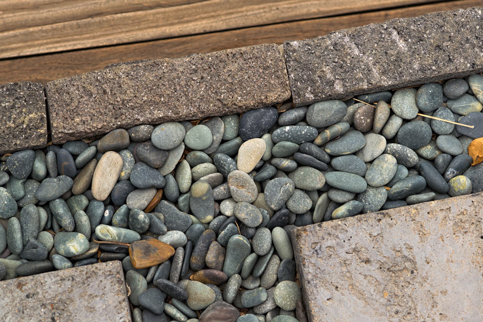 El Chante - Image 53