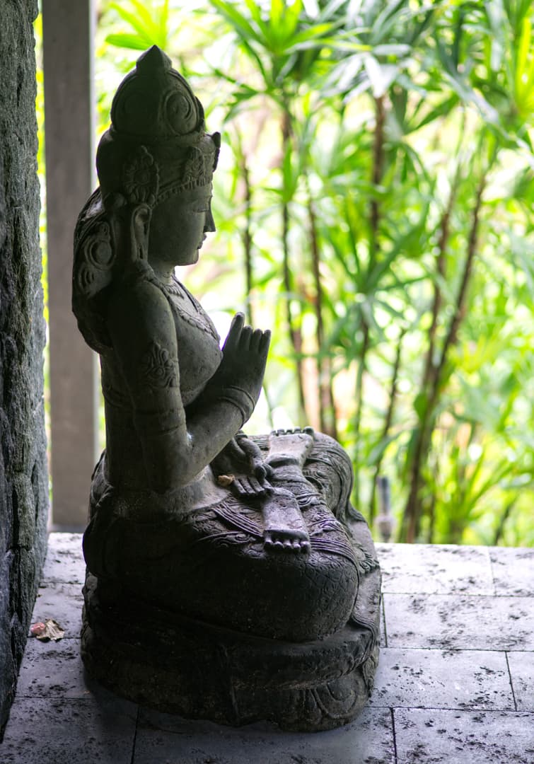 El Chante - Image 54