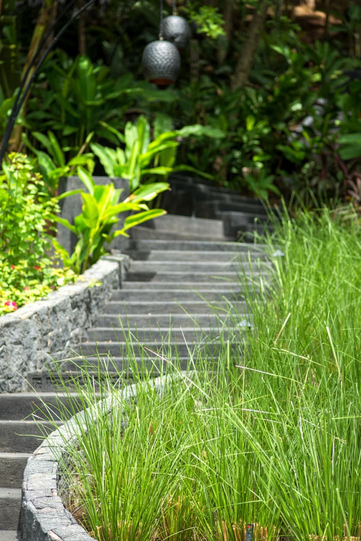 El Chante - Image 30