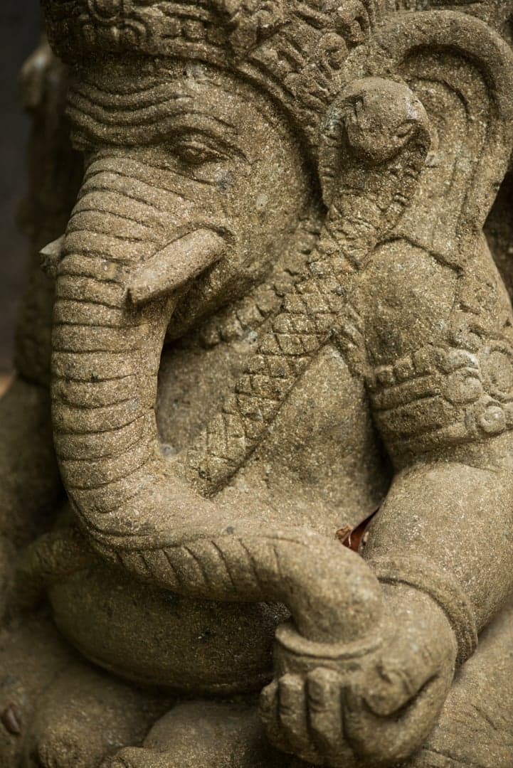 El Chante - Image 56