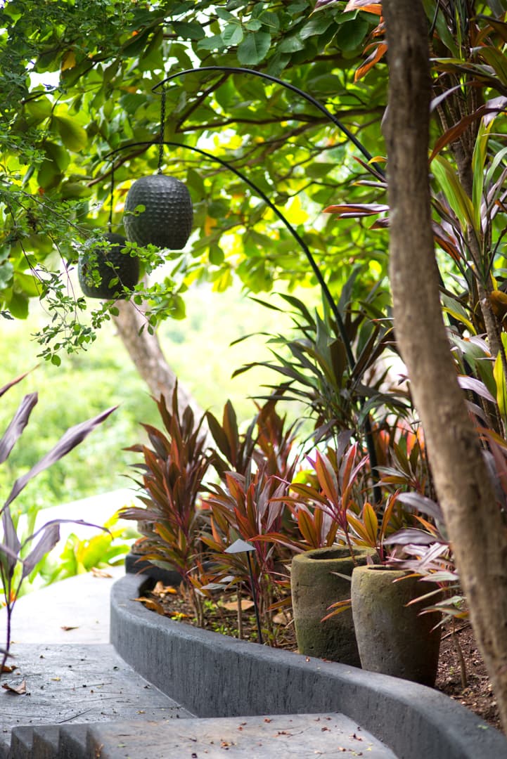 El Chante - Image 57