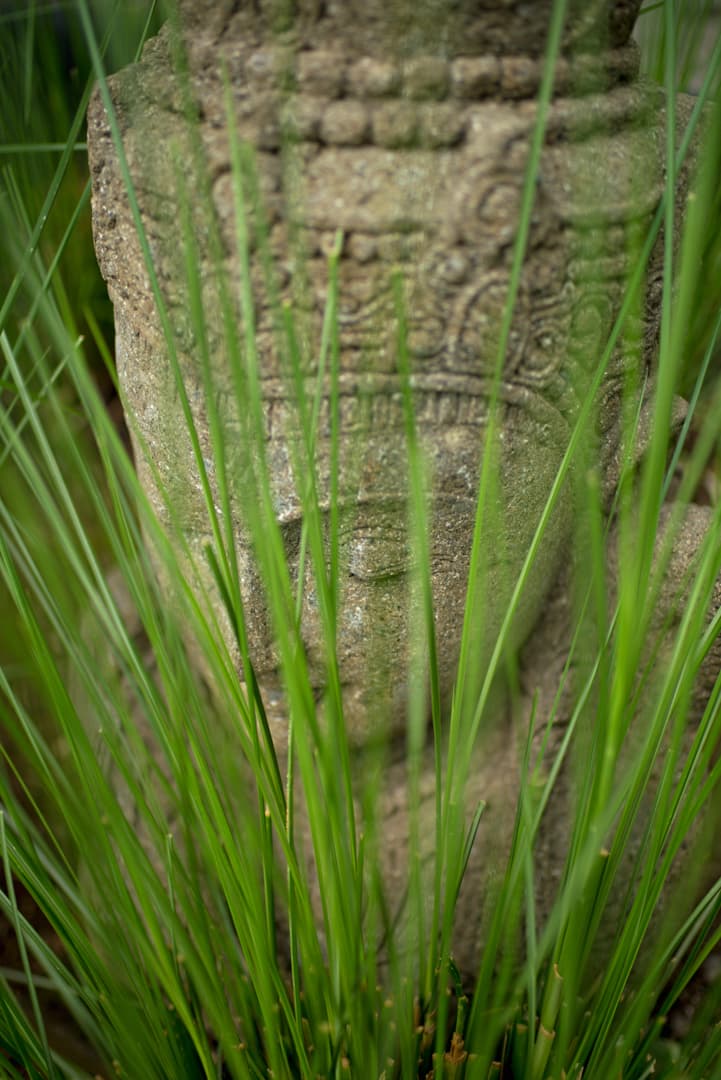 El Chante - Image 58