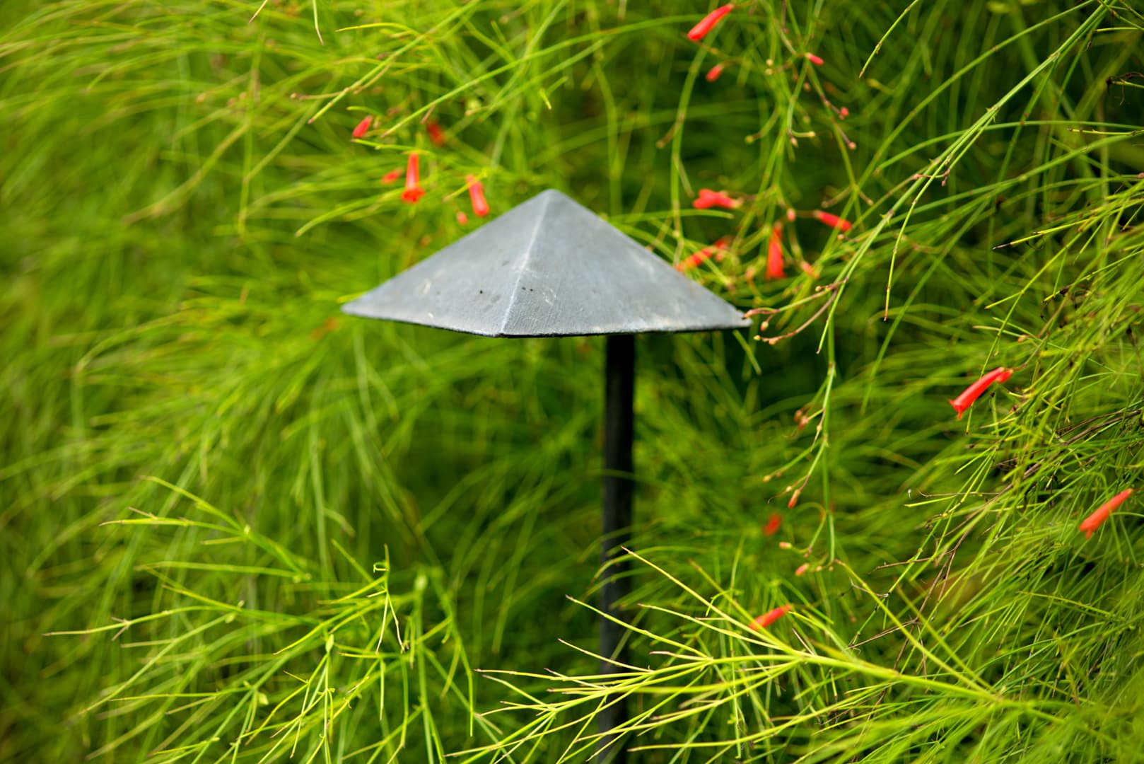 El Chante - Image 59