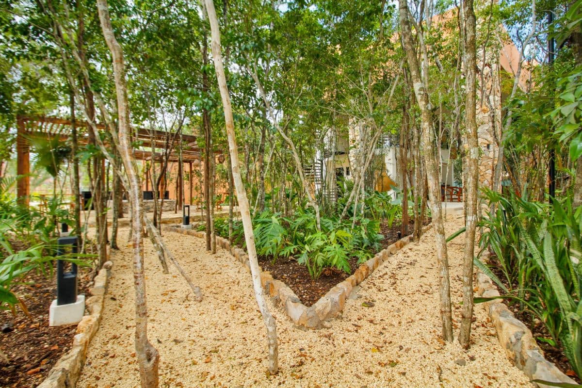 Bright Serenity Escape - Image 52