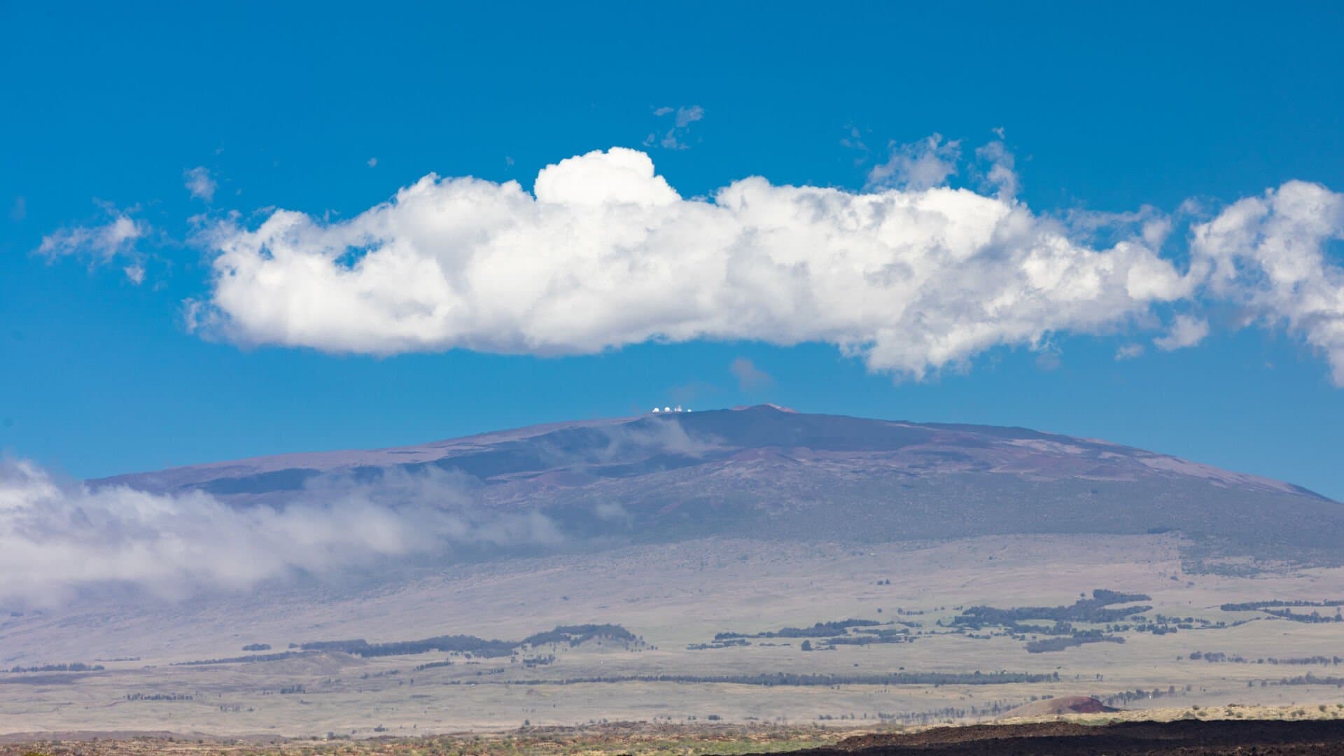 Aloha Paradise - Image 63