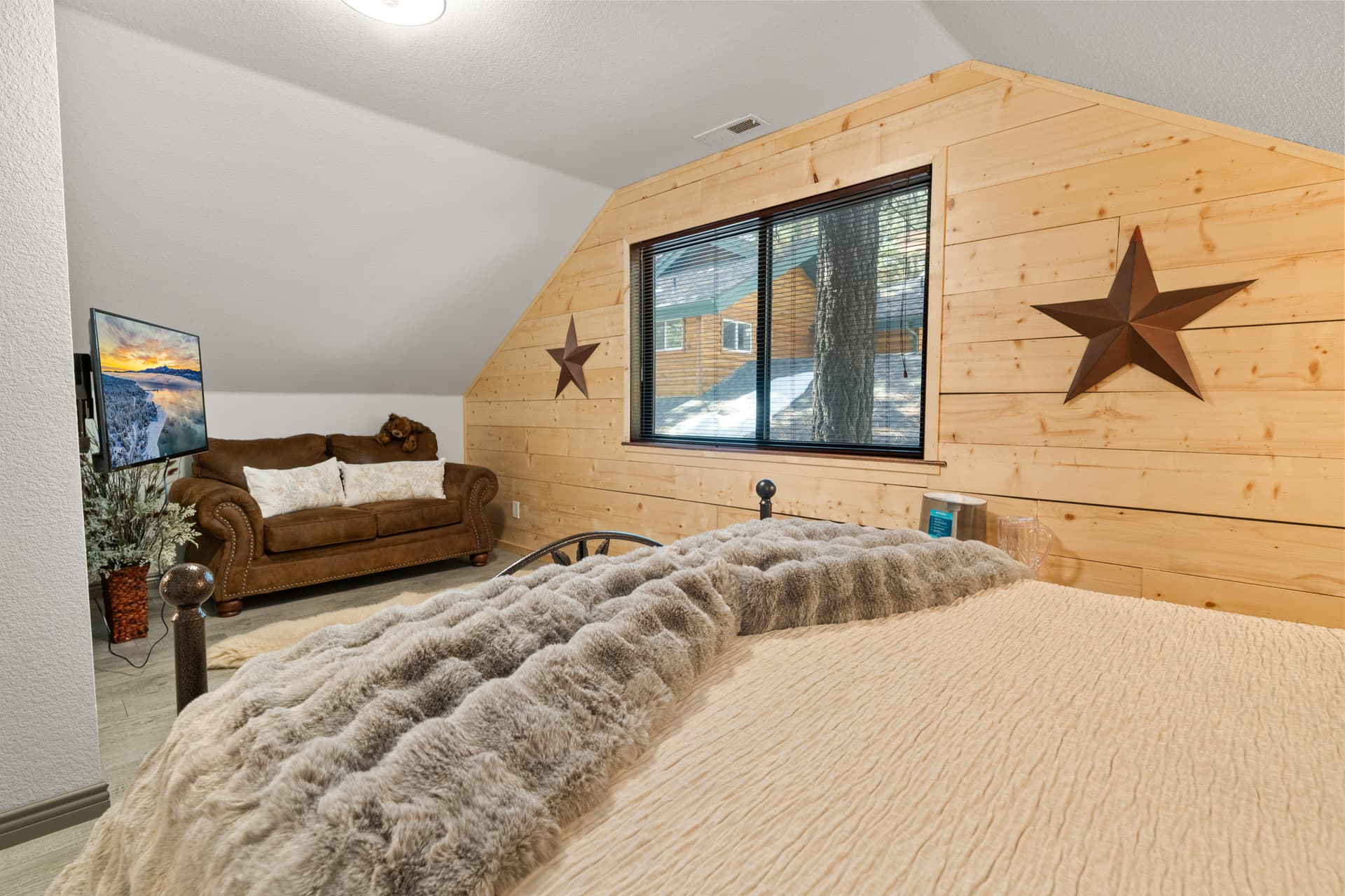 Evergreen - Image 22